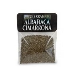 Hierba Albahaca Cimarrona